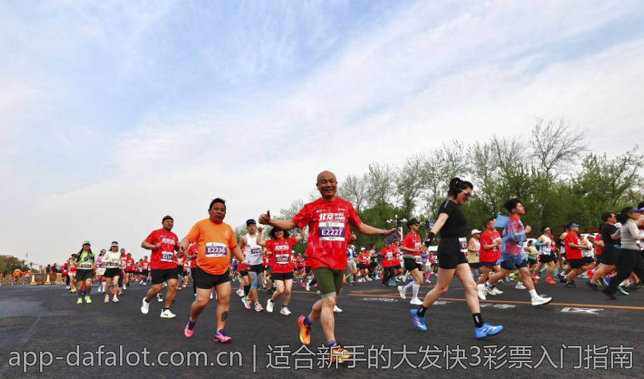 适合新手的大发快3彩票入门指南